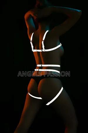 Reflective full body harness with white straps and star pattern on legs