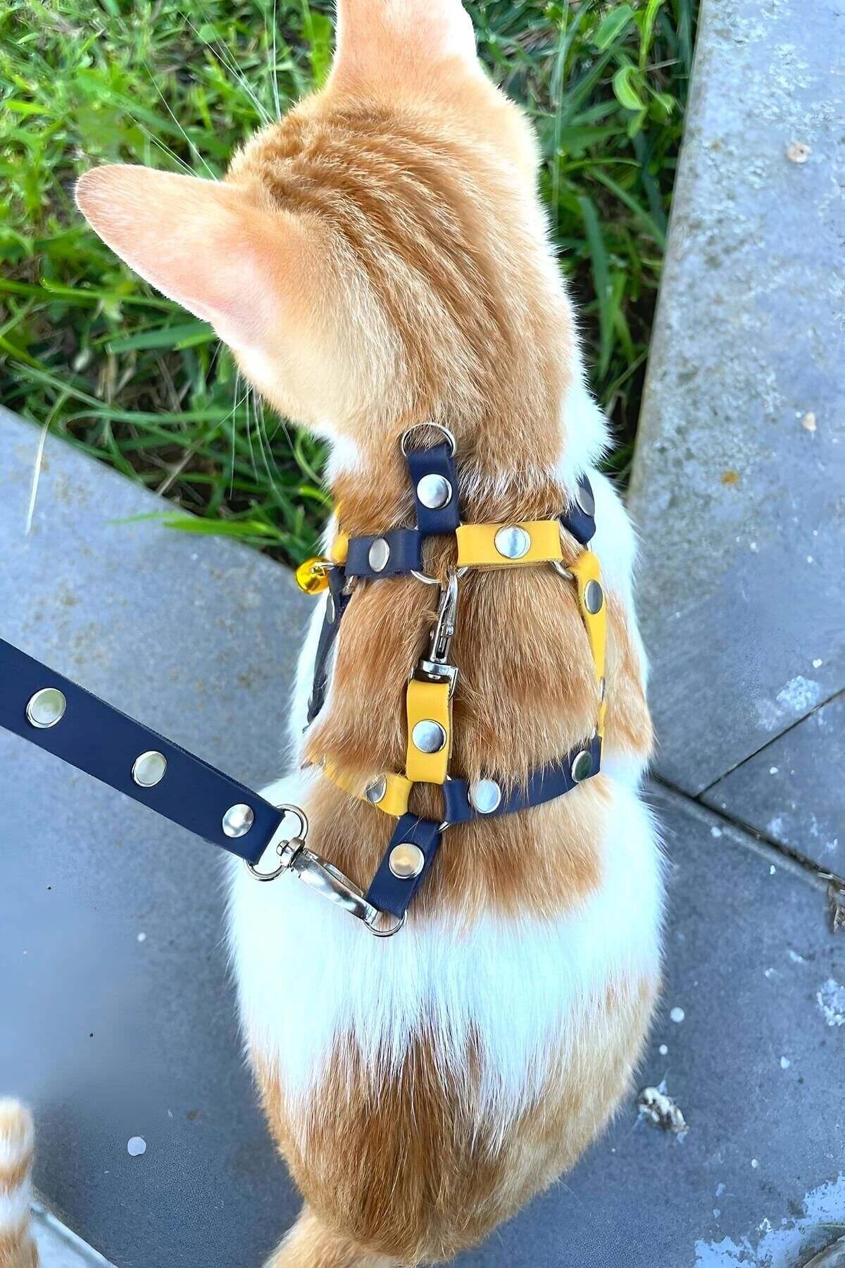 Adjustable Bi-Color Faux Leather Cat Harness