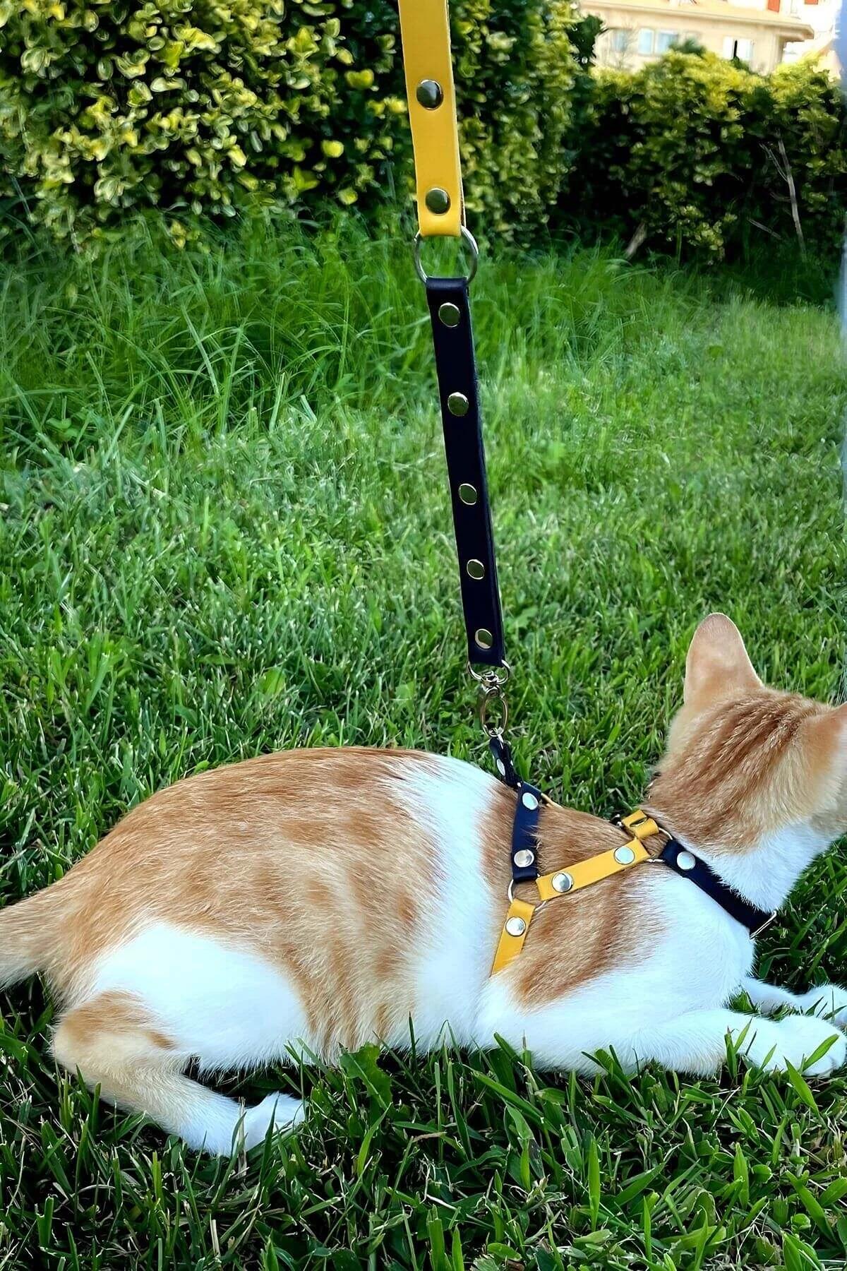 Adjustable Bi-Color Faux Leather Cat Harness