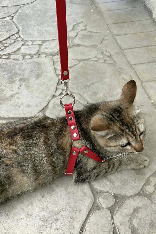 Red Faux Leather Cat Harness with O-Ring and Adjustable Straps