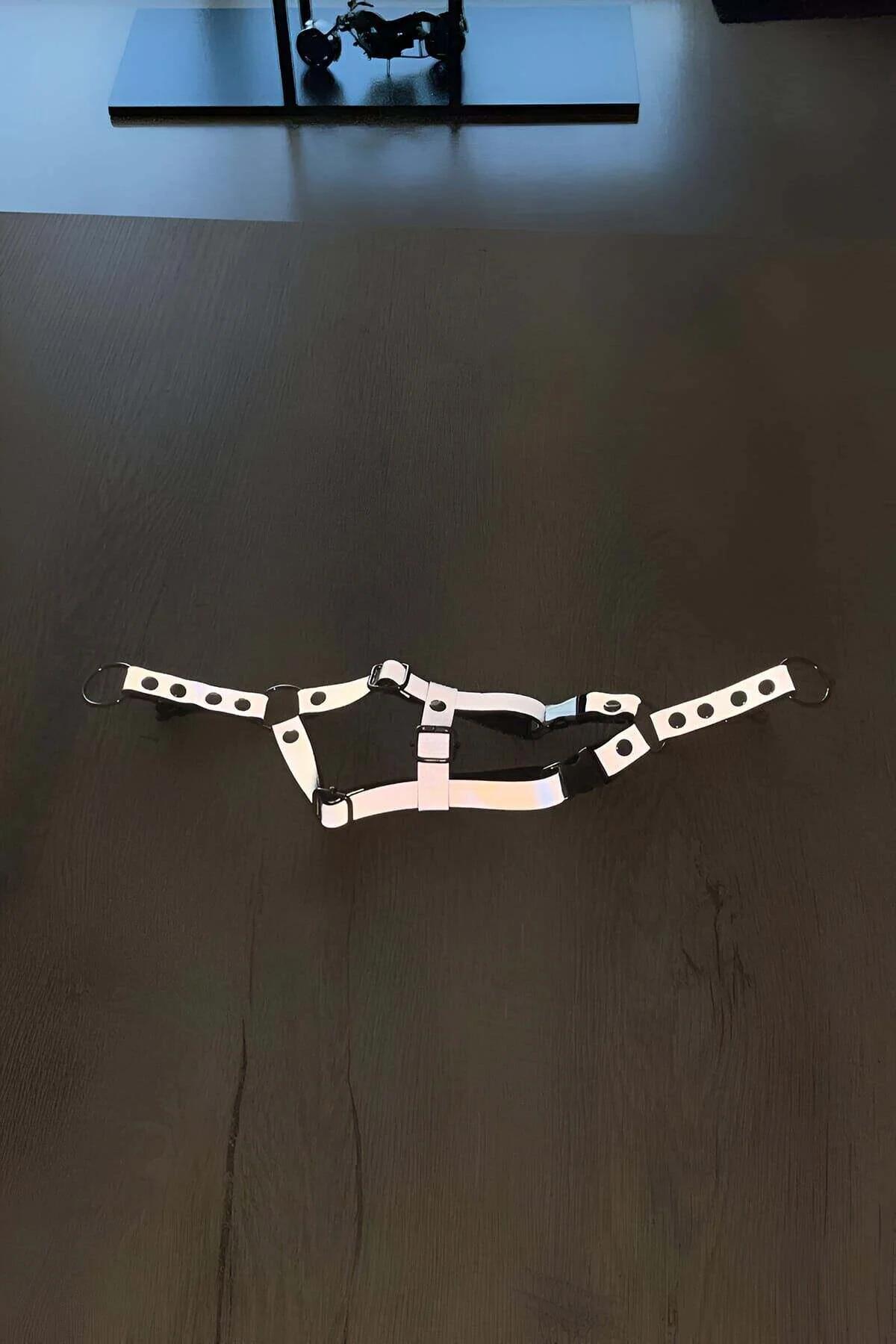 Reflective Cat Harness with Dual-Safety Buckles