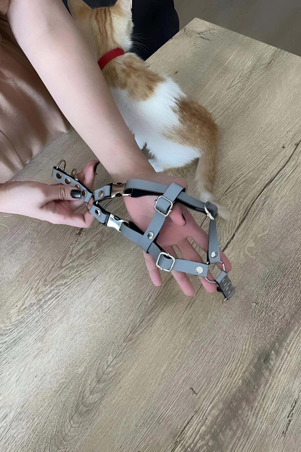 Reflective Cat Harness with Dual-Safety Buckles