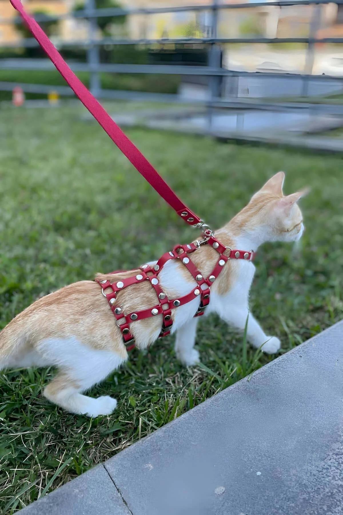Red Faux Leather Multi-Strap Cat Harness