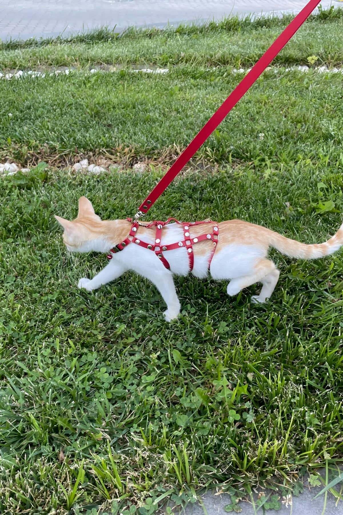 Red Faux Leather Multi-Strap Cat Harness