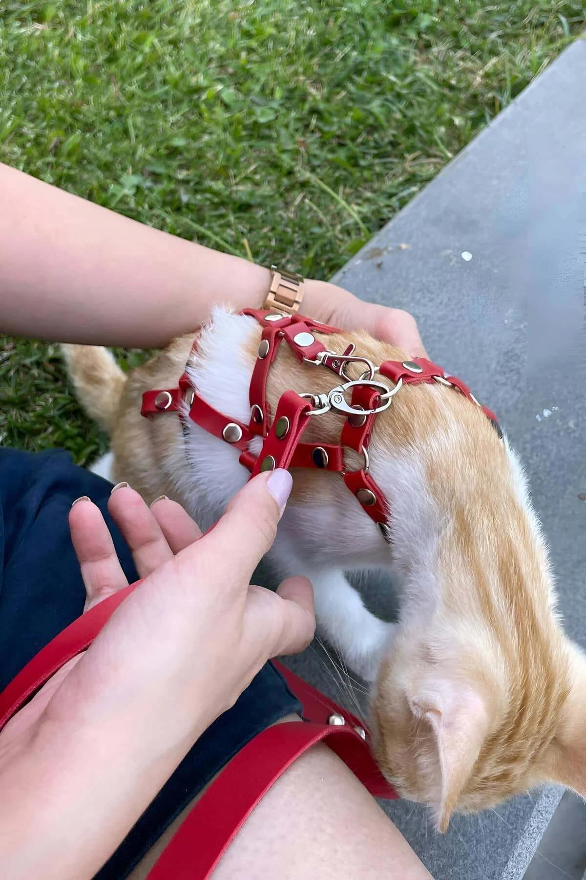 Red Faux Leather Multi-Strap Cat Harness