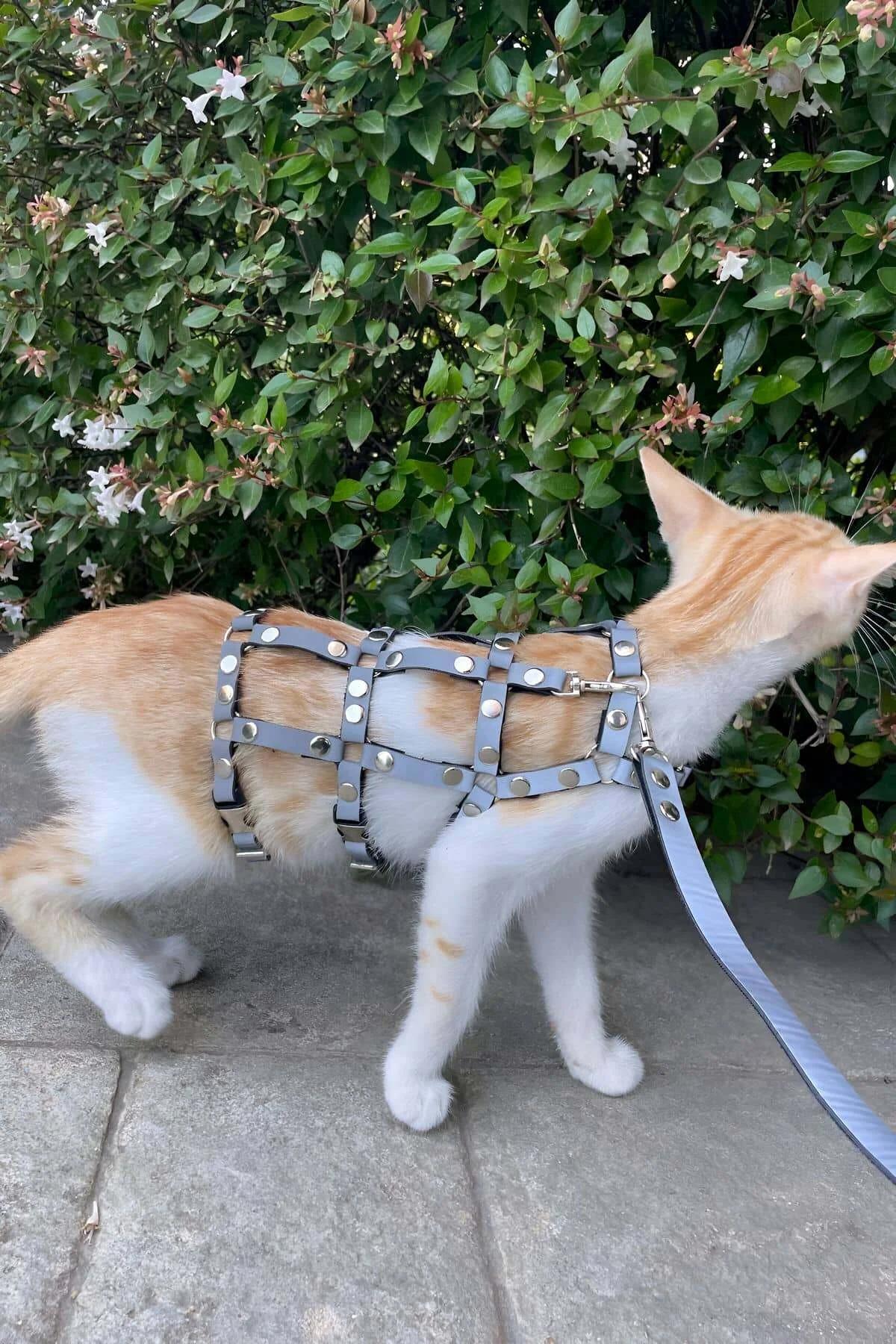 Studded Faux Leather Cat Harness with Matching Leash
