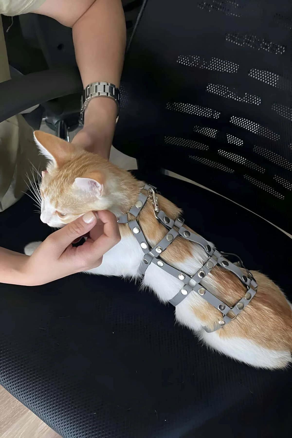 Studded Faux Leather Cat Harness with Matching Leash