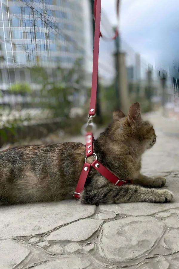 kırmızı suni deri kedi harness ve gezdirme ipi takımı, gümüş O-ring ve perçin detaylı H-tipi koşum
