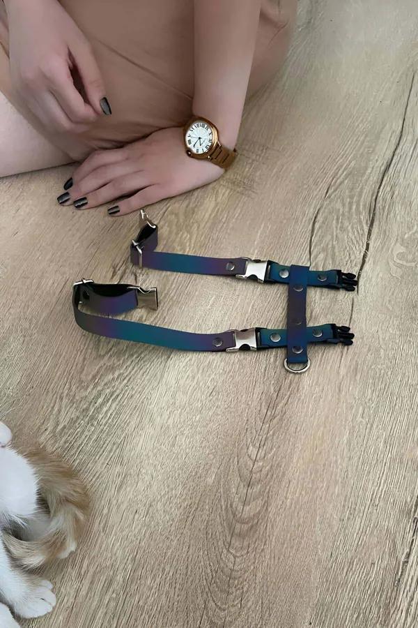 Gökkuşağı renkli reflektörlü çok bantlı kedi harness holografik mor mavi yeşil turuncu bantlar
