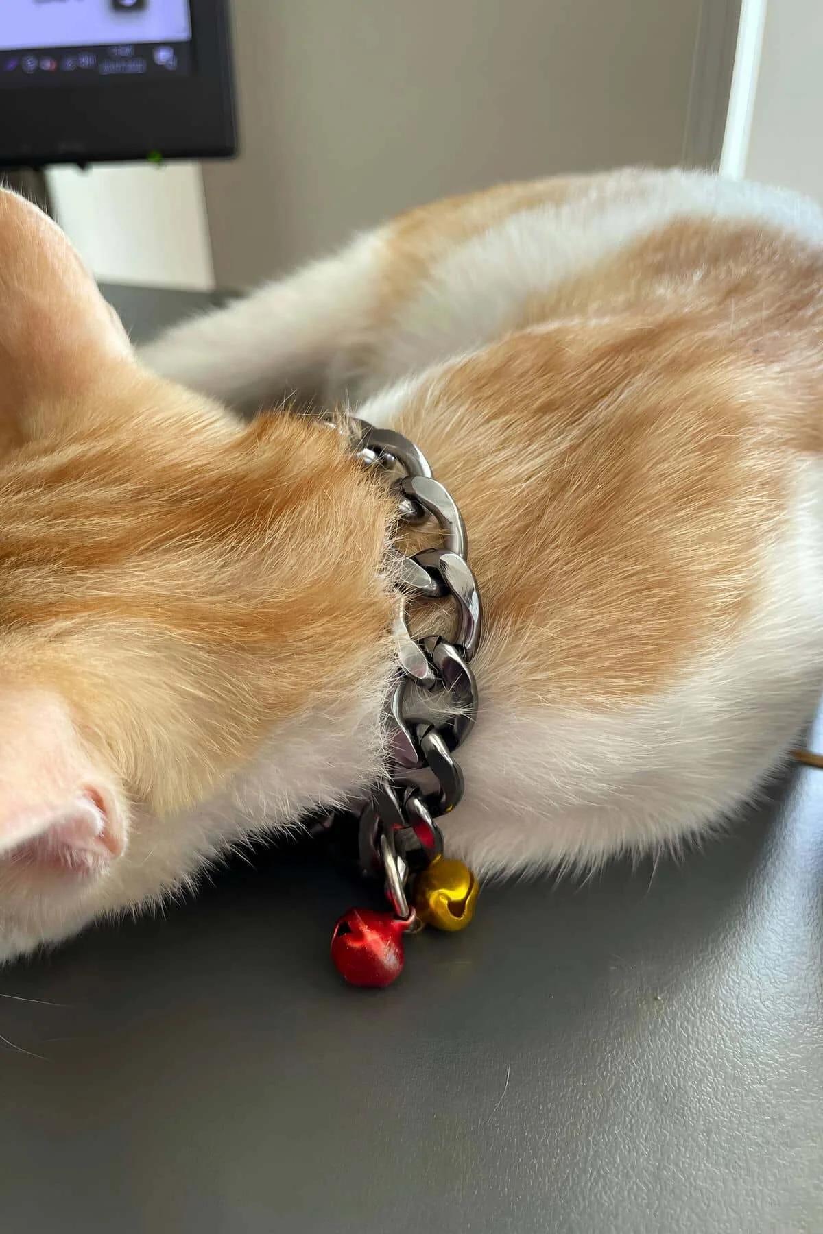 gümüş alüminyum zincir kedi tasması yakın plan halka detayı ve renkli zil görünümü