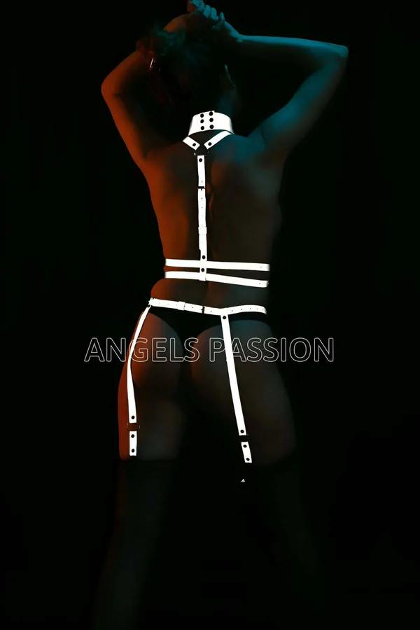 Reflective Full Body Harness with Detachable Chain Leash
