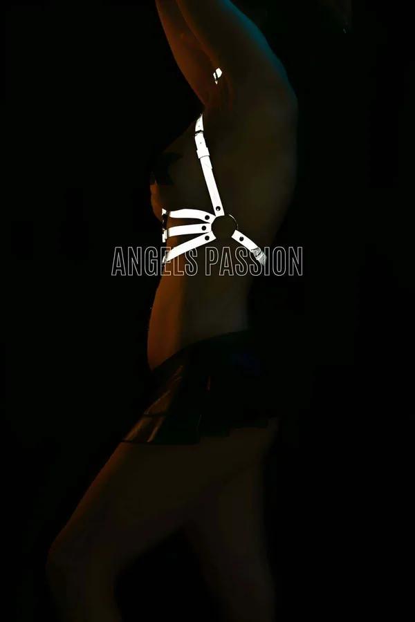 Reflective Full Body Harness with Matching Choker