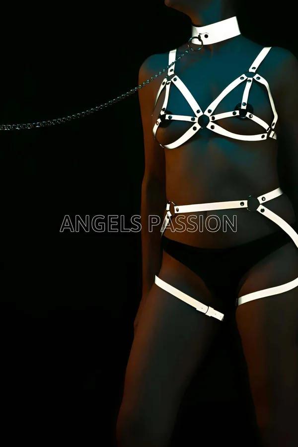 Reflective Full Body Harness Set with Collar and Garters