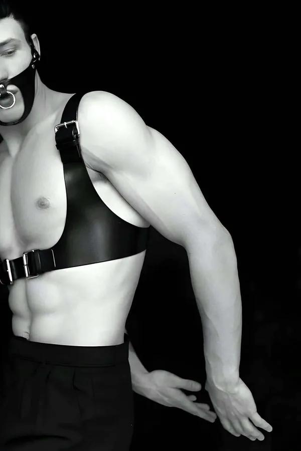 Full Body Harness with Detachable O-Ring Gag Mask