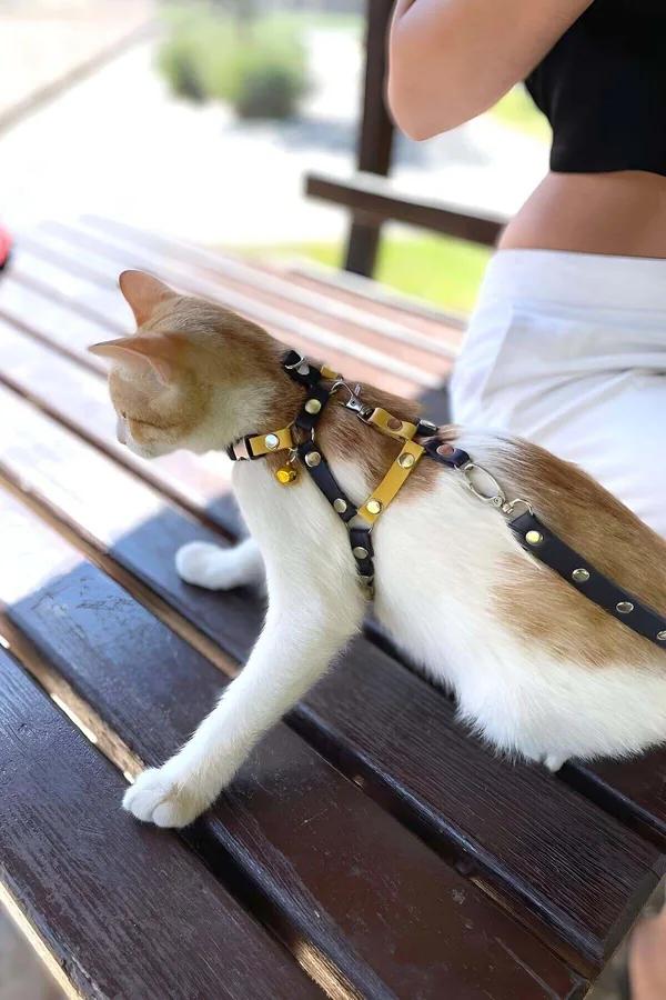 Adjustable Bi-Color Faux Leather Cat Harness