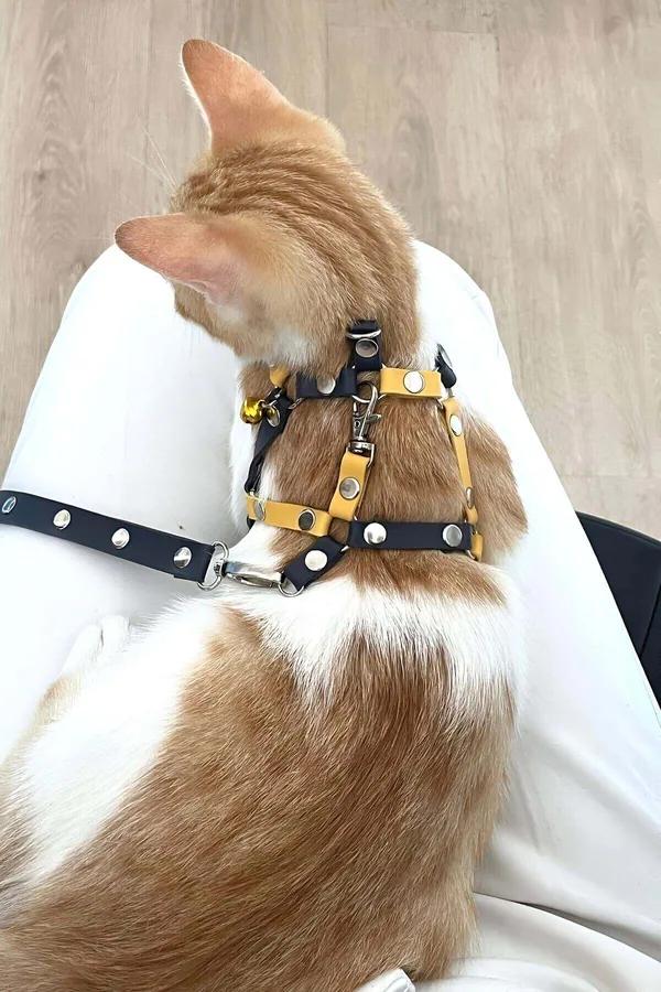 Adjustable Bi-Color Faux Leather Cat Harness