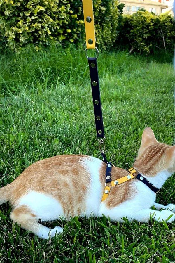 Adjustable Bi-Color Faux Leather Cat Harness