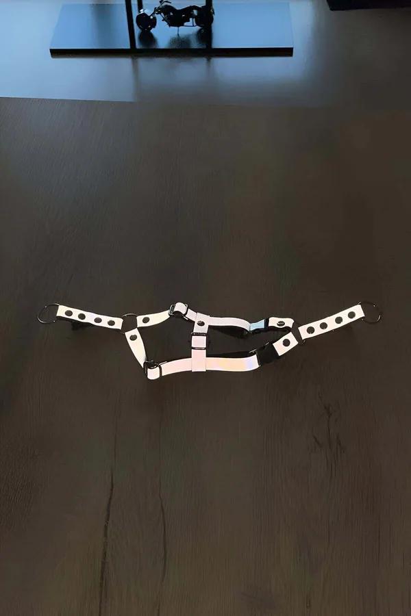 Reflective Cat Harness with Dual-Safety Buckles