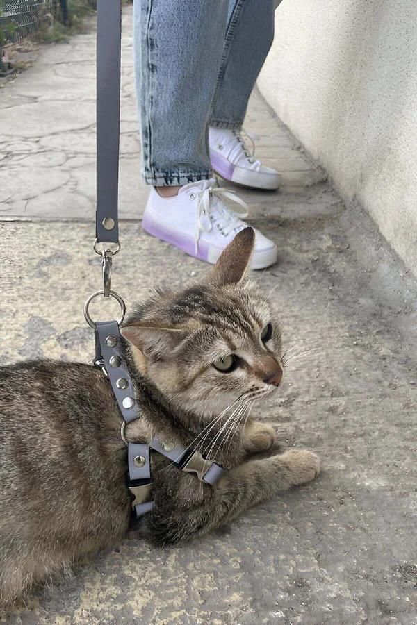 Reflective Cat Harness with Dual-Safety Buckles