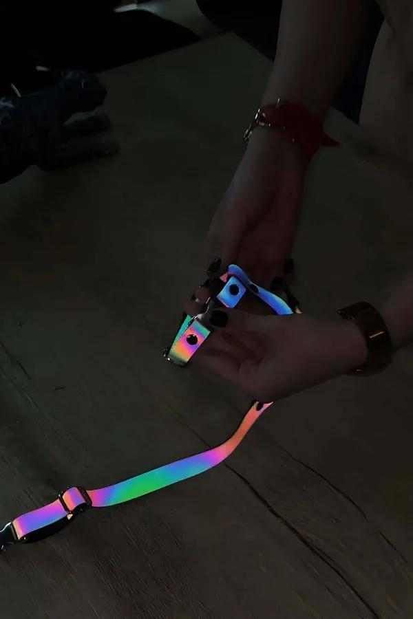 Gökkuşağı renkli reflektörlü çok bantlı kedi harness holografik mor mavi yeşil turuncu bantlar