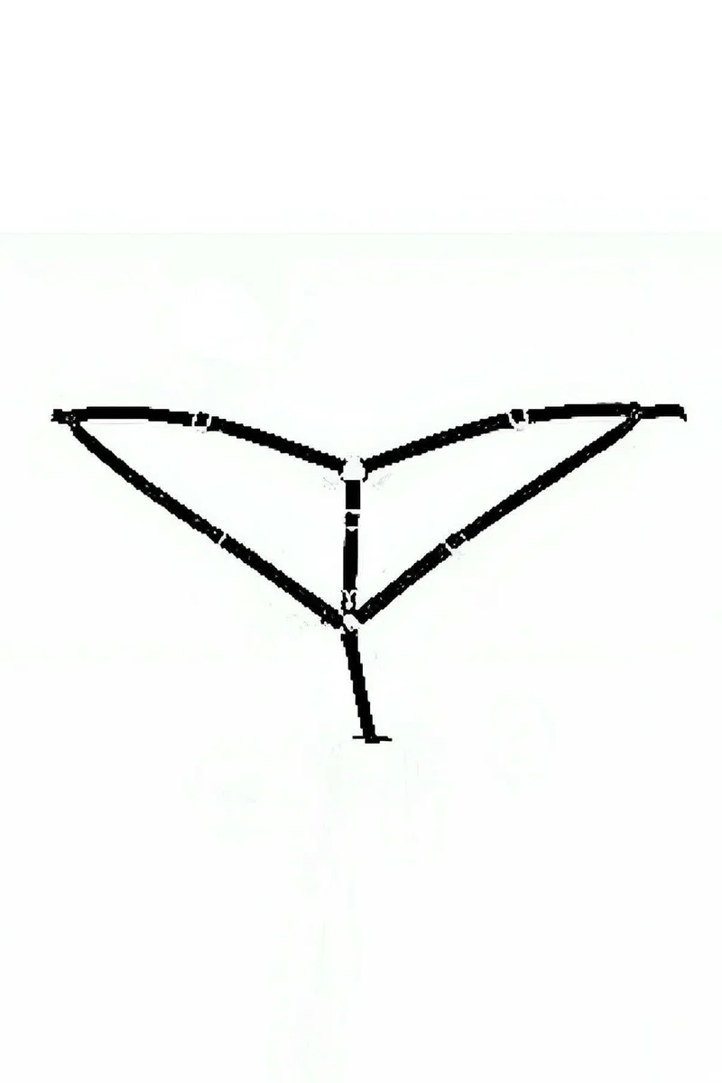 Strappy body harness back view with