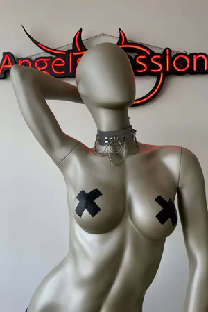 Reflective Choker Collar with O-Ring & Chain Details