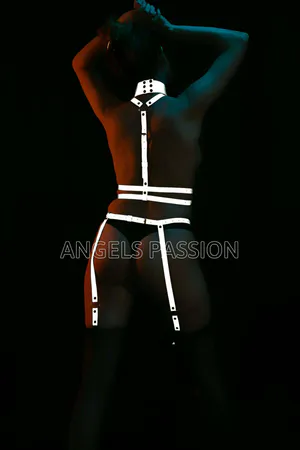 Reflective Full Body Harness Set in Silver with Choker Collar, Garter Straps, and Detachable Chain