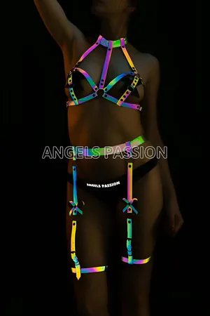 Rainbow Reflective Harness Bra & Garter Set