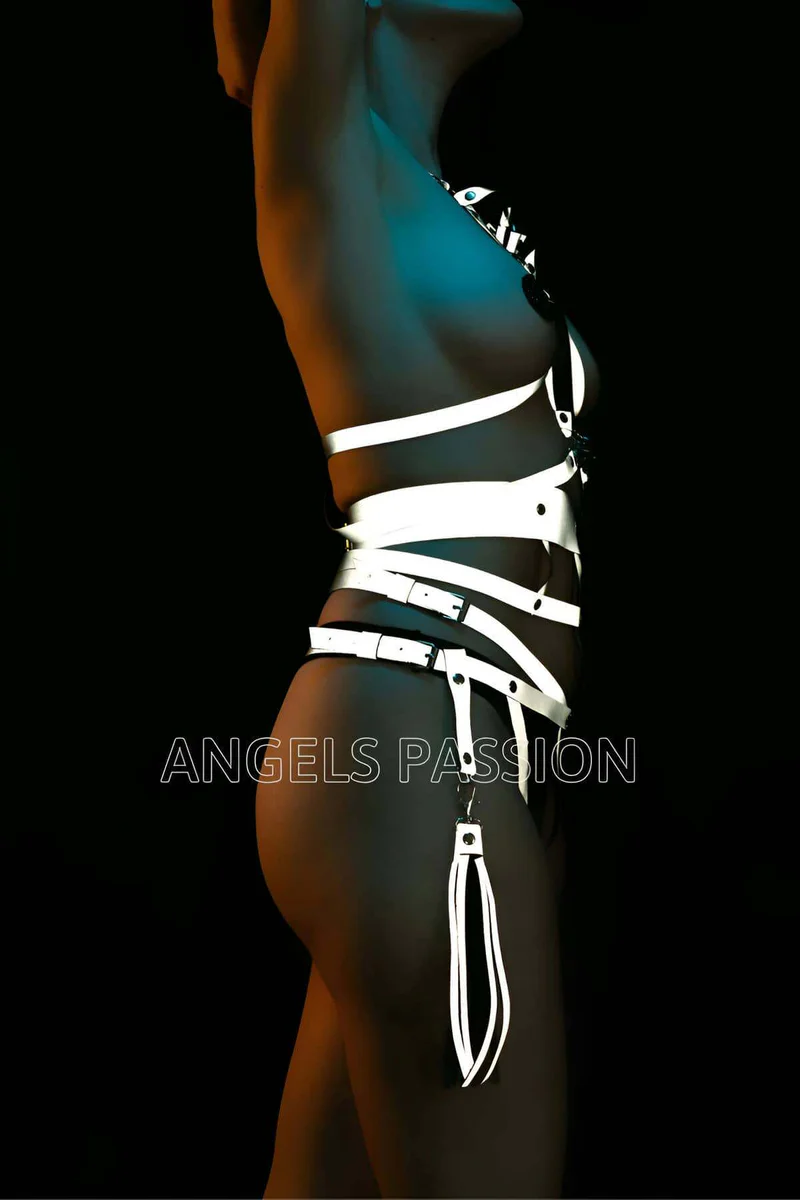 Reflective harness front view with tassel garters