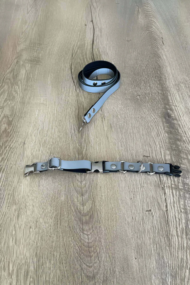 Reflective Collar Close-Up