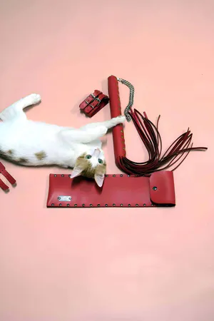 Whip - Handcuff Set, Whip Set, Fancy Handcuff Set - APFT1304