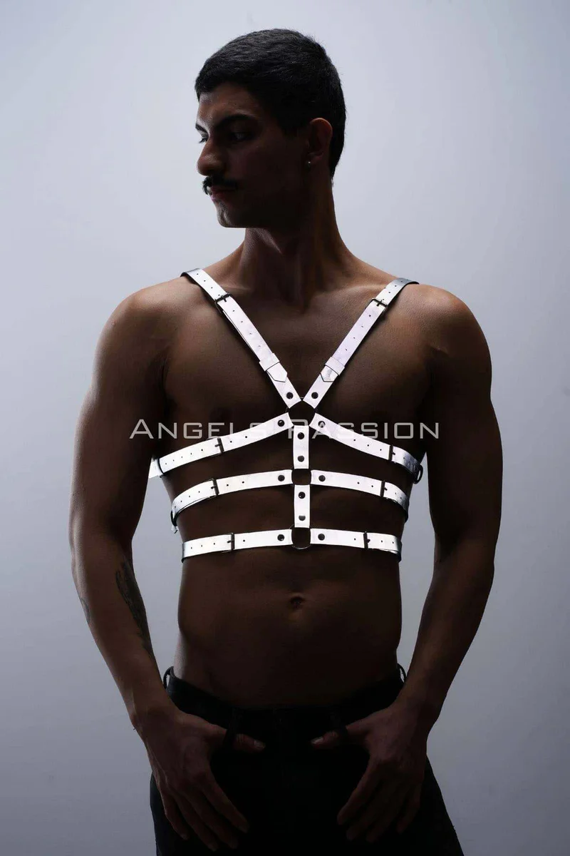 Silver reflective chest harness worn by