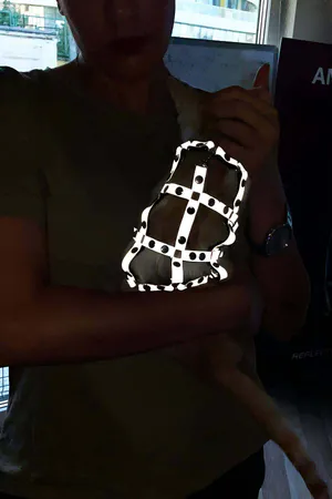 Karanlıkta Parlayan Reflektörlü Şık Kedi Harness, Kedi Yürüme Tasması, Kedi Güvenlik Tasması - NPC011