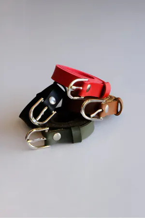 4-Piece Belt Set, Black - Red - Khaki and Taba Belt (Silver Accessory)