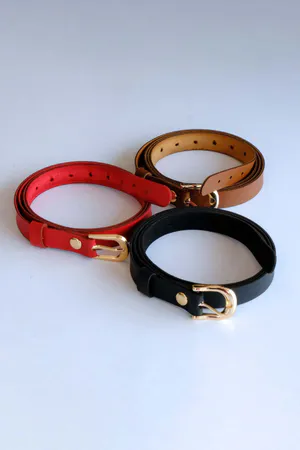 3-Piece Belt Set, Black - Red and Tan Belt (Gold Accessory)