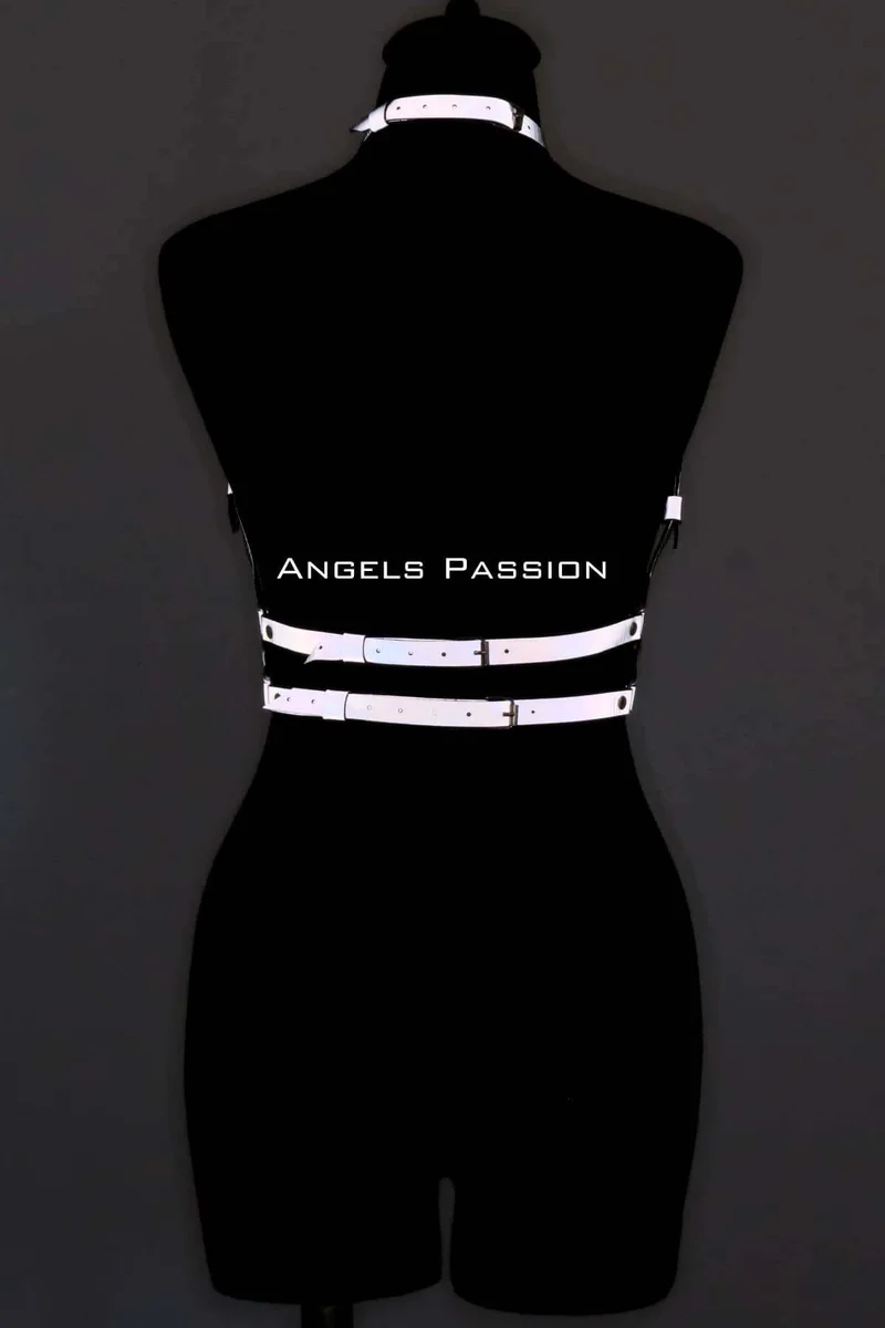 Back view of the adjustable reflective chest harness with two horizontal straps