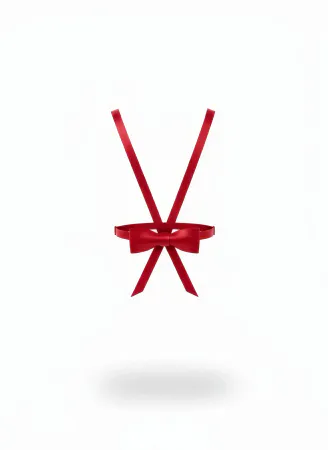 Red Women's Belt Satin Bow Slim Waist Accessory - APFT177