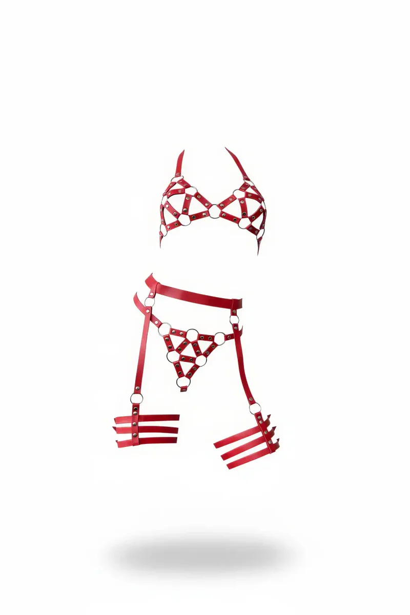 Red Faux Leather Caged Harness Bra and Garter Set with O-Rings