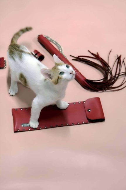 Whip Handcuff Set – Luxury Bondage Accessory Kit With Leather Whip And Cuffs S M L XL